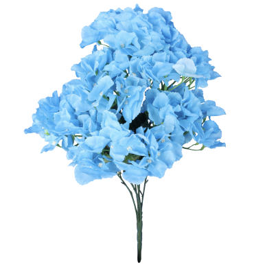 BUKIET 6 HORTENSJI  NIEBIESKICH