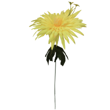 Żółty Sztuczny Kwiat Aster o Wysokości 55 cm