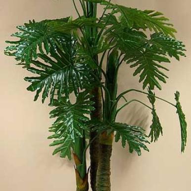 Sztuczne drzewo Filodendron 1