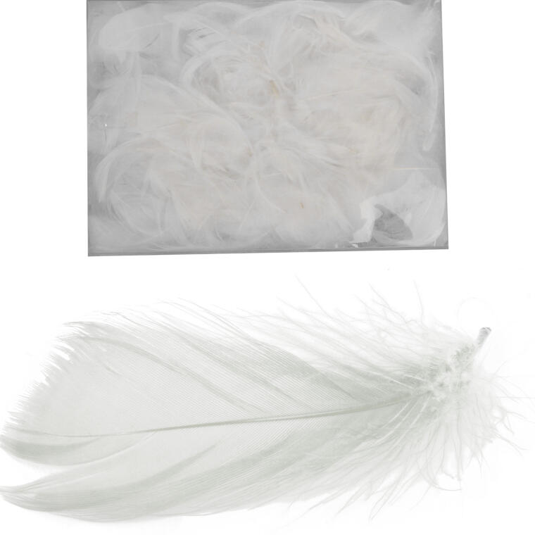 Piórka białe w boksie PVC