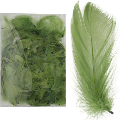 Piórka zielone w boksie PVC