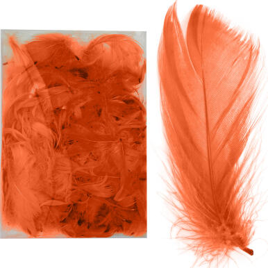 Pomarańczowe Pióra Dekoracyjne w Przezroczystym Boksie PVC