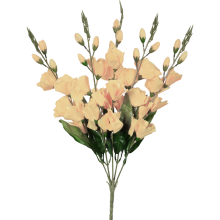 Bukiet 5 kremowych gladioli