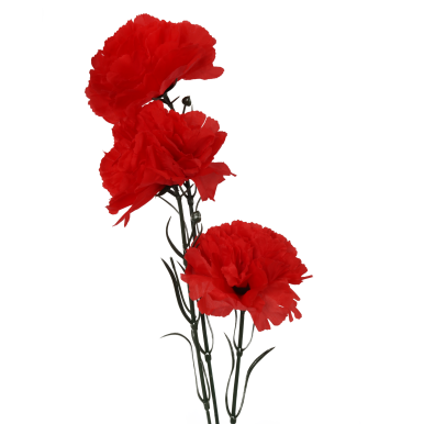 Sztuczny goździk cieniowany - 3 gł&oacute;wki, czerwony, 65 cm