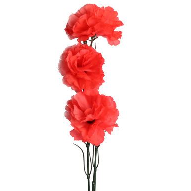 Gałązka trzech goździków różowych, neonowych