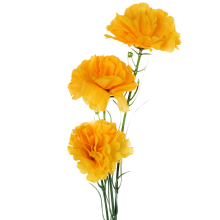 Sztuczny Goździk Żółty - Gałązka 65 cm z Trzema Kwiatami