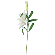 Gałązka 2 lilii z pąkiem biała