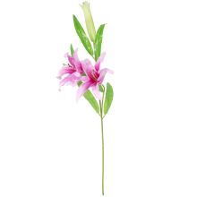 Gałązka 2 lilii z pąkiem fioletowa