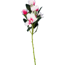 Gałązka 5 magnolii jasno różowych