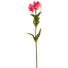Różowa Cynia - Gałązka Dekoracyjna 75 cm