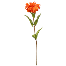 Pomarańczowa Cynia - Gałązka Kwiatu o Wysokości 75cm