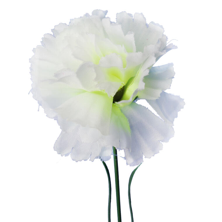 Goździk pojedynka w kolorze białym 46 cm