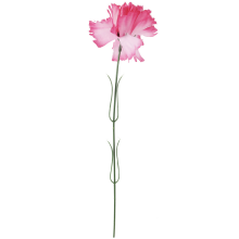 Goździk pojedynka w kolorze jasno różowym 46 cm