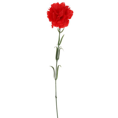 Goździk pojedynka w kolorze czerwonym 54 cm
