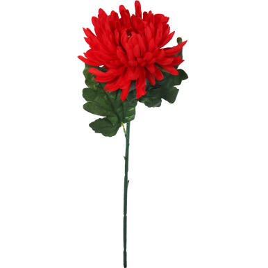 Sztuczna Chryzantema Pojedyncza Strzępiasta w Kolorze Czerwonym - Idealna na Wszystkich Świętych, Wysokość 68 cm