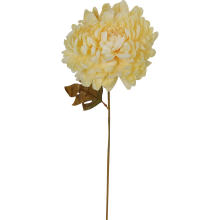 Chryzantema kwiat pojedynczy (jesienne odcienie) 70 cm