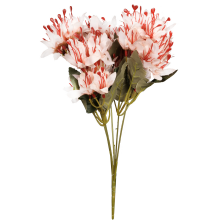 Bukiet 5 gałązek z kwiatami azalii kolor biały