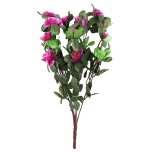 Bukiet 5 gałązek z drobnymi kwiatami róży kolor fioletowy