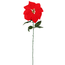 Kwiat pojedynczy Gwiazda Betlejemska Poinsecja 60 cm