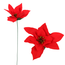 Kwiat pojedynczy Gwiazda Betlejemska Poinsencja 30 cm