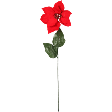 Kwiat pojedynczy Gwiazda Betlejemska Poinsencja 64 cm