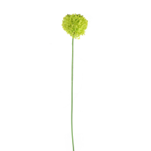Kwiat Sztuczny - Czosnek o Barwie Limonki o Wysokości 80 cm