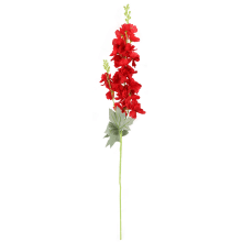 Czerwona, podwójna gałązka kwiatów Ostróżka o wysokości 87 cm