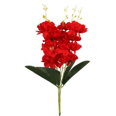 Bukiet 5 storczyków 58cm kolor czerwony