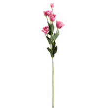 Gałązka Eustoma z 6 Kwiatami w Odcieniu Ciemnego Różu - Dekoracja Wysokiej Jakości