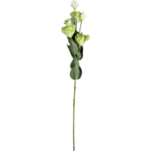 Zielona Gałązka Eustoma z 6 Kwiatami - Dekoracja Naturalnej Urody