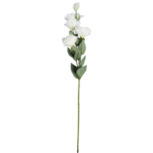 Gałązka Eustoma z 6 Białymi Kwiatami - Dekoracja Wysokiej Jakości