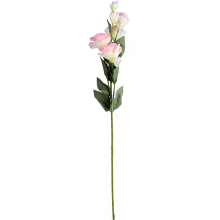Eustoma - Kompozycja 6 Jasnoróżowych Kwiatów o Wysokości 80 cm
