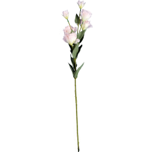 Różowa gałązka Eustoma z 6 kwiatami, wysokość 80 cm, wyglądająca jak żywa
