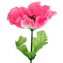 Mak Dekoracyjny Różowy Naturalnej Aury 54 cm