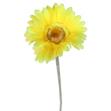 Żółty Kwiat Dekoracyjny Gerbera, Wysokość 55 cm, Realistyczny Wygląd