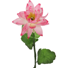 Różowa Dekoracja - Gałązka Lilii Wodnej Wyglądającej Jak Żywa, 80 cm