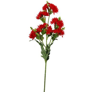 MARGARETKI GAŁAZKA WIELOKWIATOWA 70 CM KOLOR CZERWONY