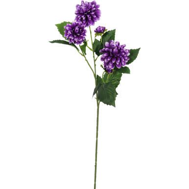 Gałązka 5 dalii w kolorze fioletowym