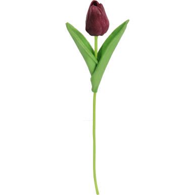 TULIPAN GUMOWANY POJEDYNKA KOLOR FIOLETOWY