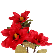 Czerwona Gałązka z Trzema Magnoliami - Dekoracja Wysokiej Jakości