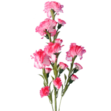 Sztuczna Gałązka Goździków w Kolorach Biało-Różowych, 15 Kwiatów, 86cm