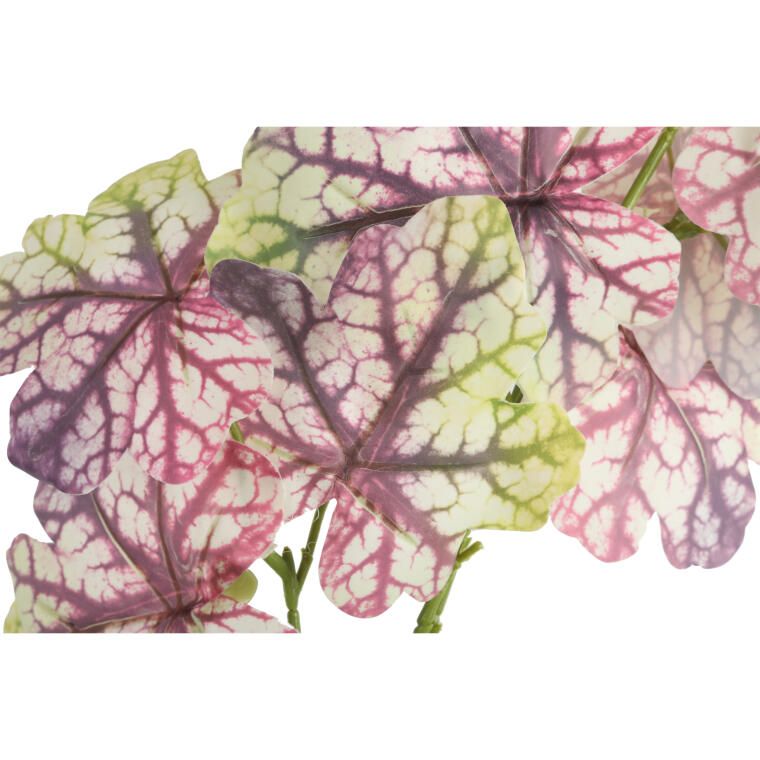 CALADIUM GAŁĄZKA LIŚCI OZDOBNYCH 82 CM KOLOR FIOLETOWY