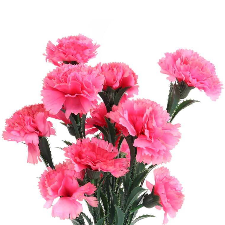 GOŹDZIKI BUKIET 15 KWIATÓW 42 CM KOLOR RÓŻOWY