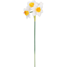 Sztuczny Kwiat - Gałązka z Narcyzami, Biały, 42 cm