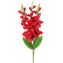 Bukiet 5 czerwonych Gladioli o Wysokości 60 cm