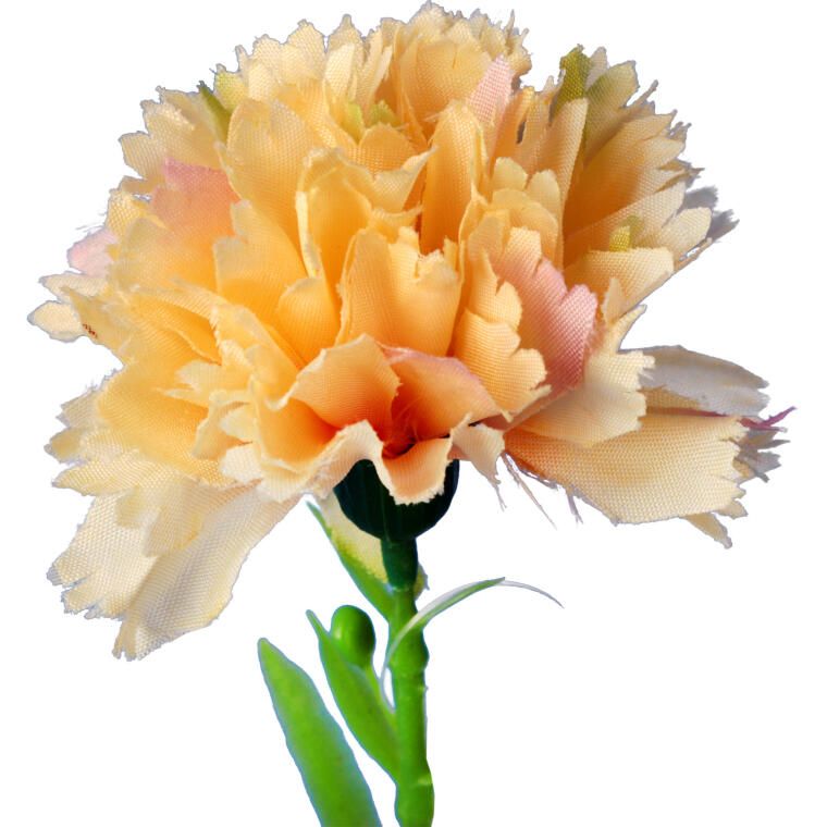 GOŹDZIK kwiat pojedynczy 30 CM KOLOR ŻÓŁTY