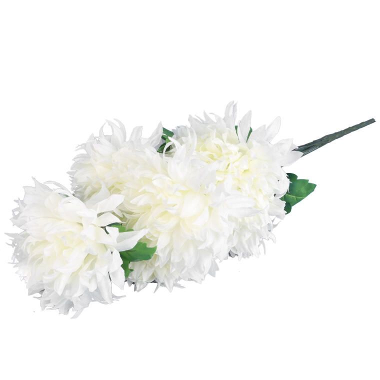 Bukiet 7 dużych chryzantem w kolorze białym 74 cm