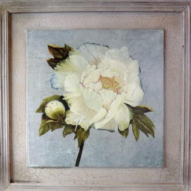 Obraz Postarzanej Białej Piwonii 38x38 cm - Kolekcja Kwiatów