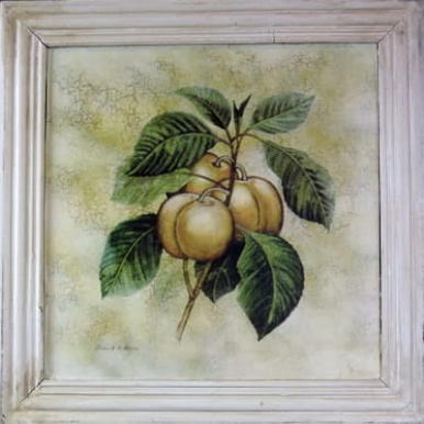 Obraz Owocowe Gałązki Efekt Starzenia 41x41 cm - Część z Serii 4