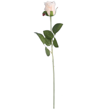 RÓŻA POJEDYNCZA 46 CM KREMOWA
